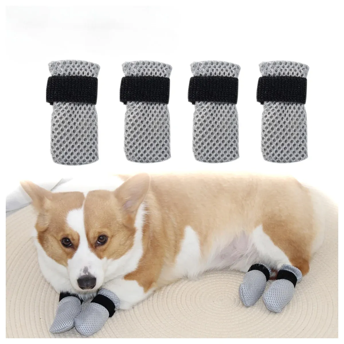 Grey dog grip socks on a corgi