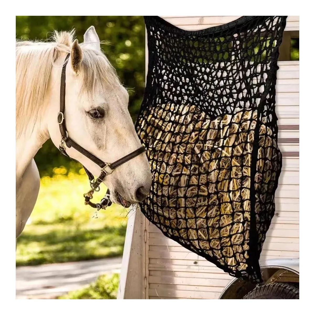 Horse eating from a slow-feed hay net