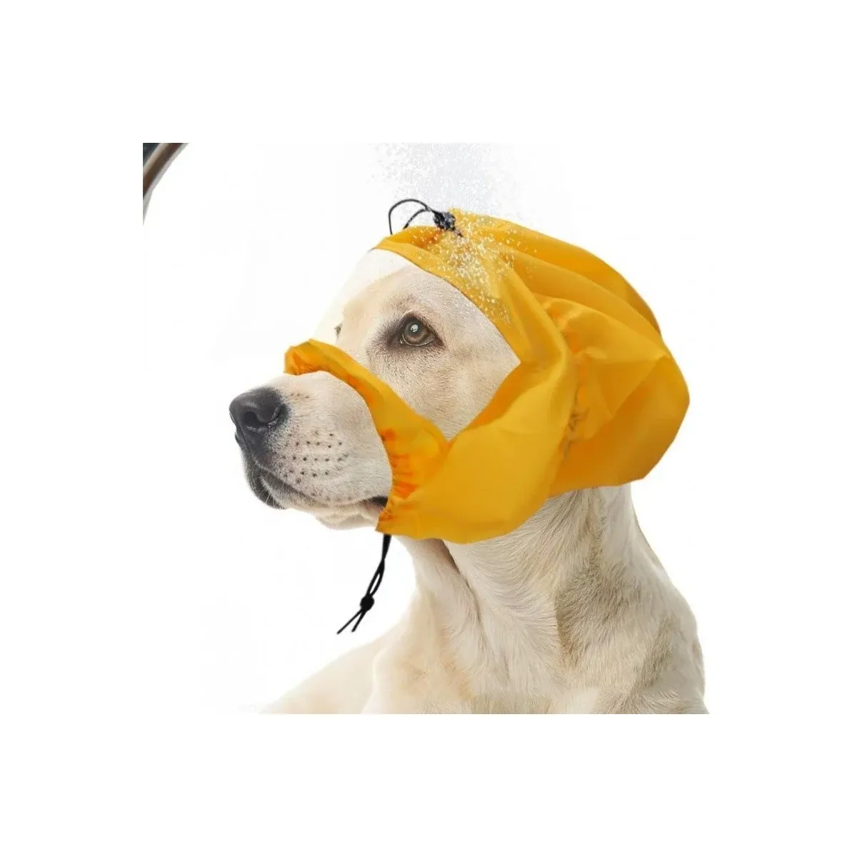 Yellow dog ear bath cap