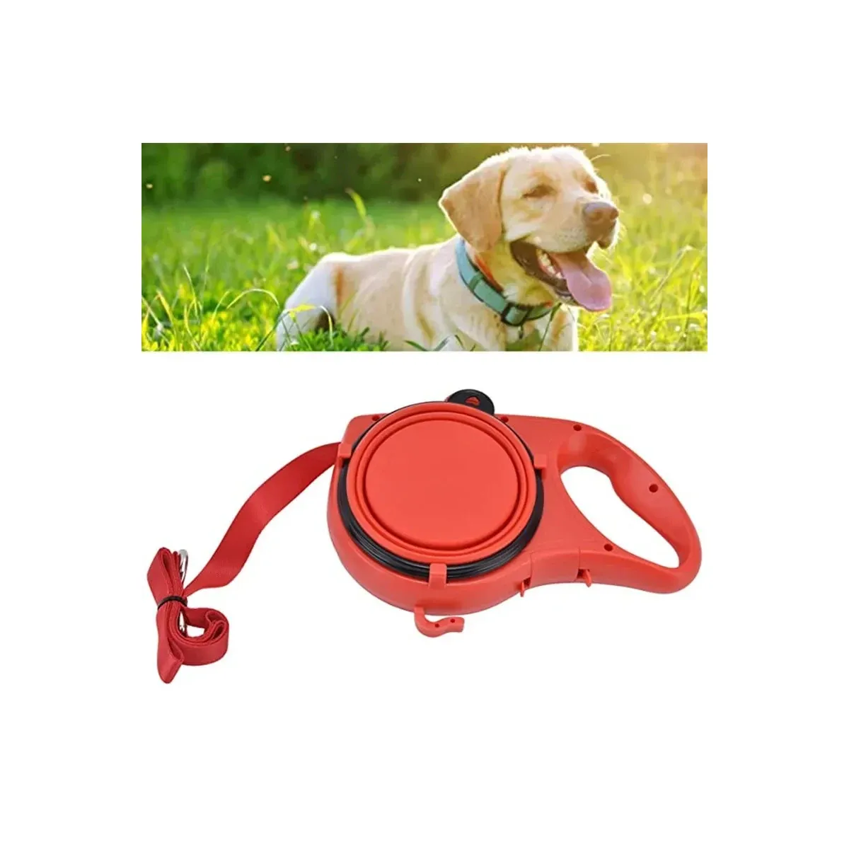 Red leash handle with water bottle