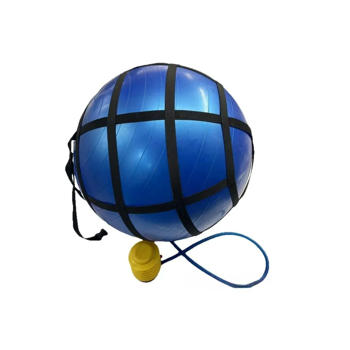 Blue 65 cm exercise ball with pump