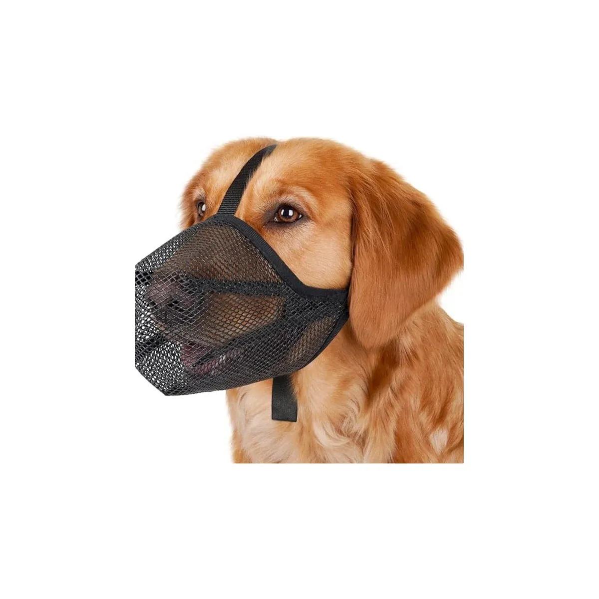 Black mesh muzzle on a dog