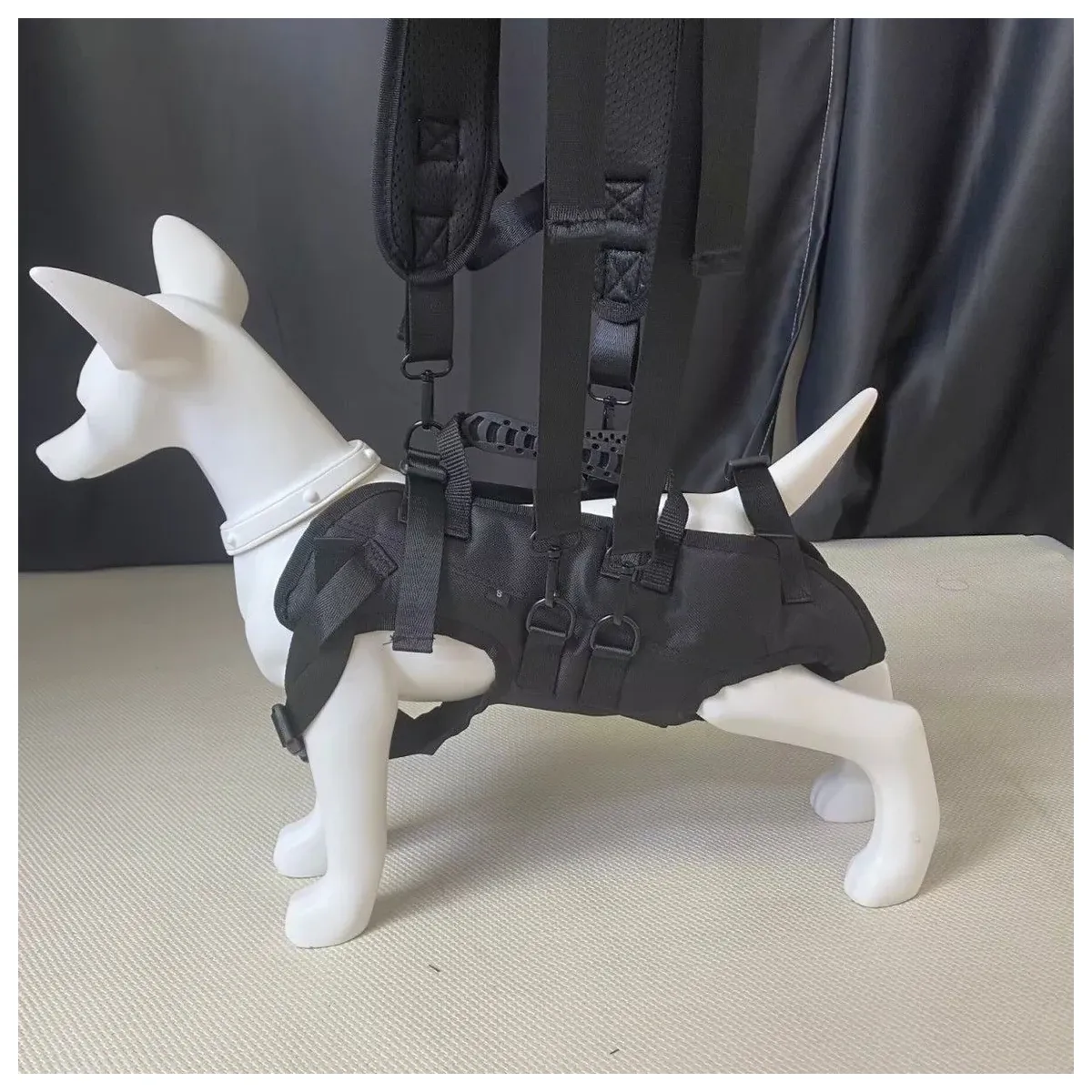 Dog in a crossback carrier