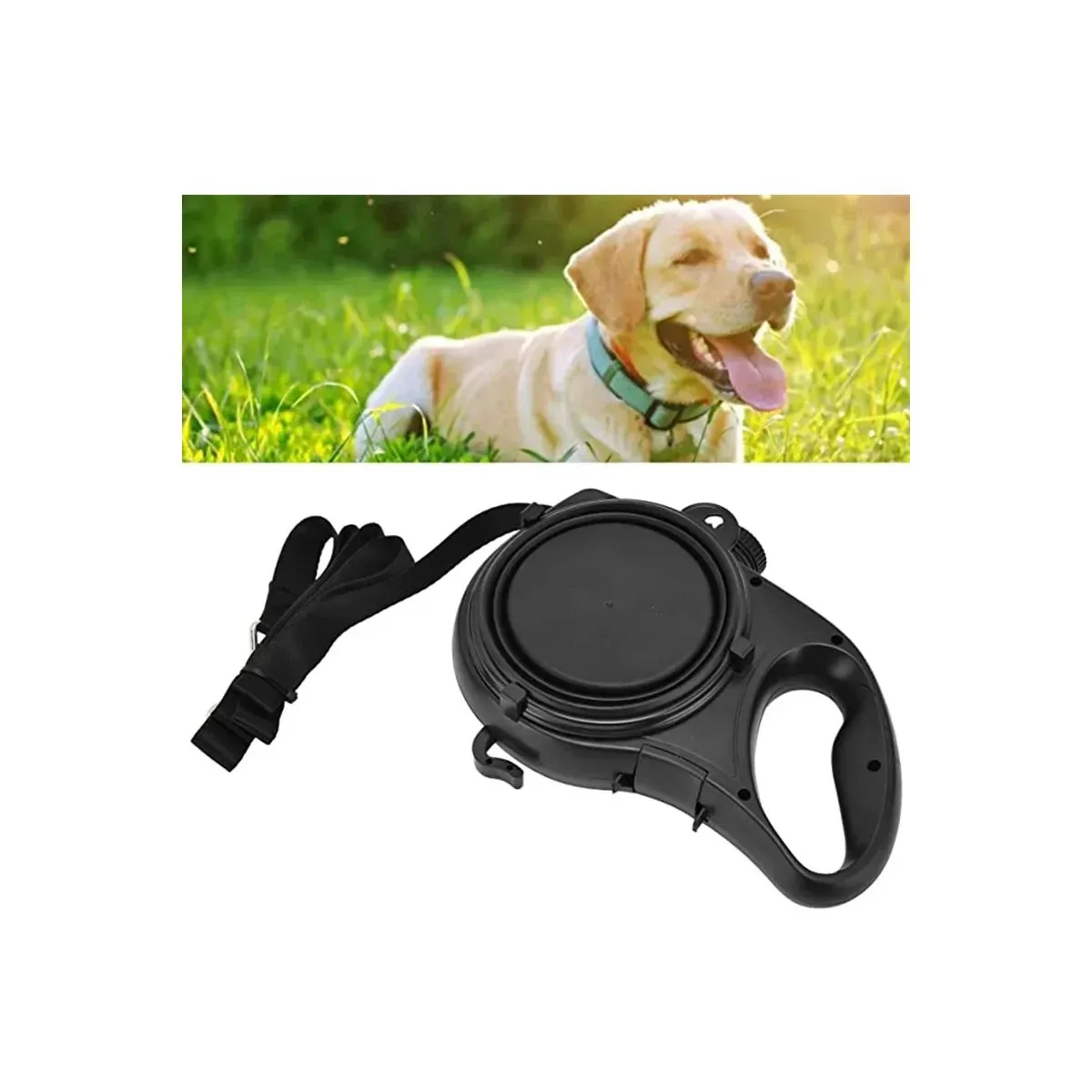 Blue leash handle with water bottle