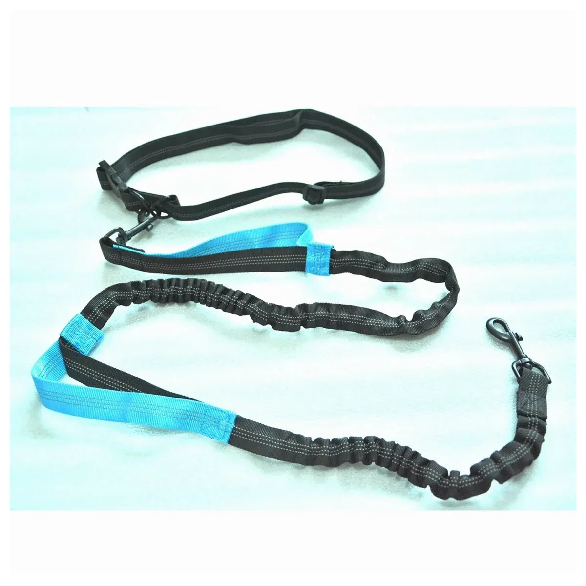 Double dog leash in blue and black