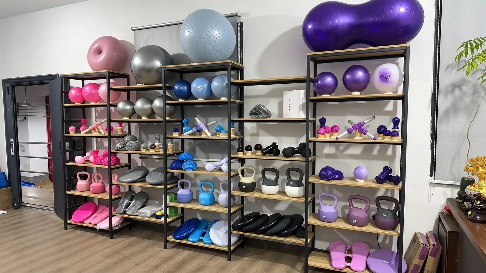 Balance pads, Pilates balls, soft kettlebells and dumbbells arranged on three bays of open shelving with light wood shelves