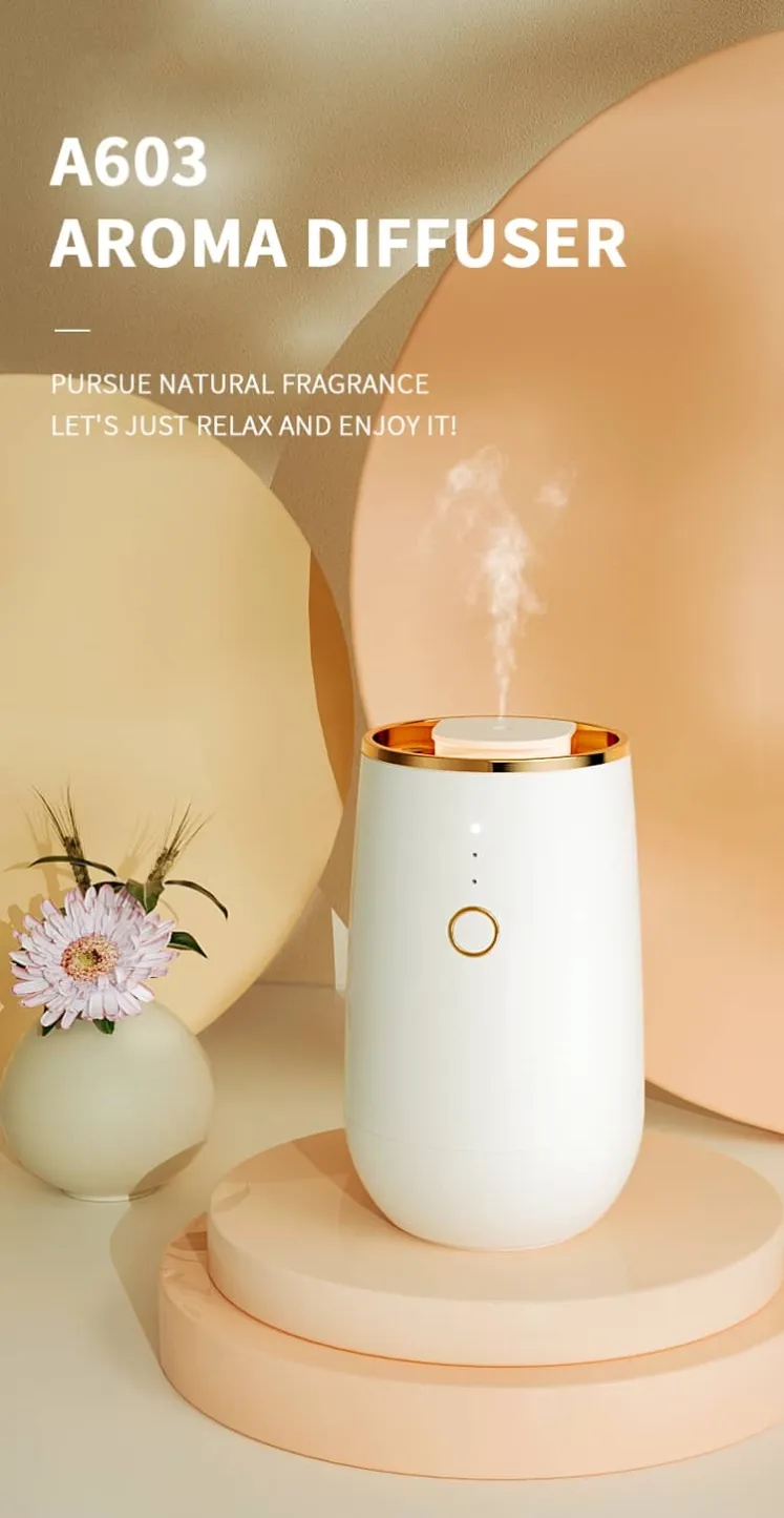 CS-A603C Car Aroma Diffuser China sourcing product image