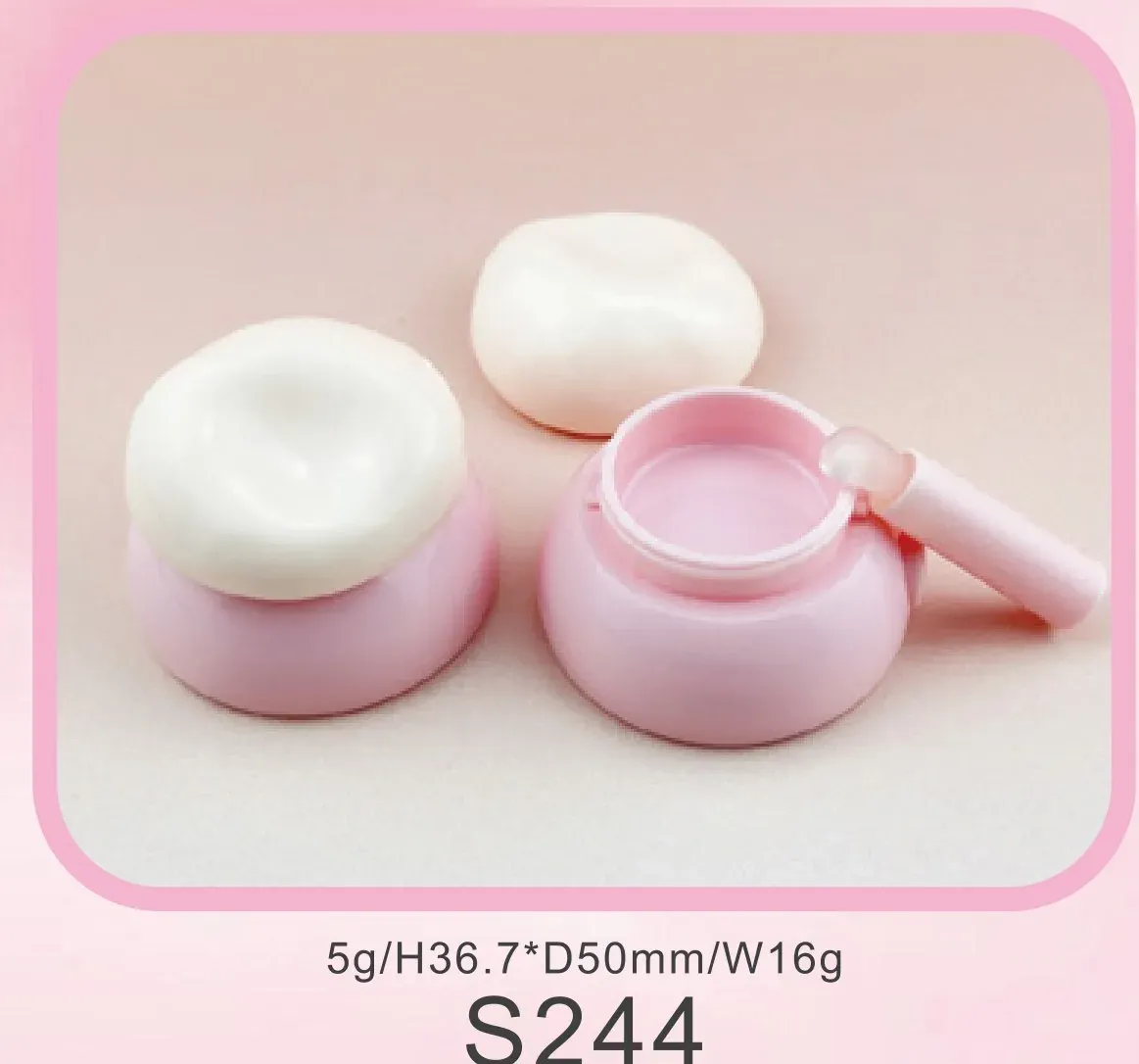 Powder Case S244 5g photo 01