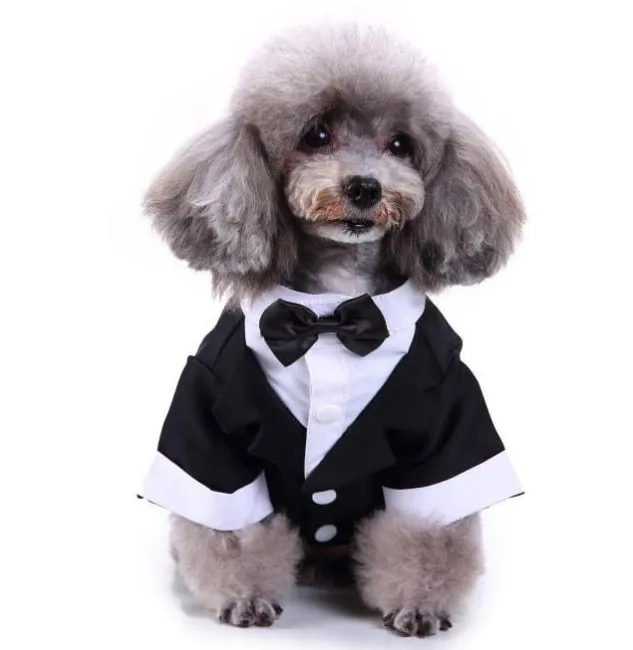 dog cloth