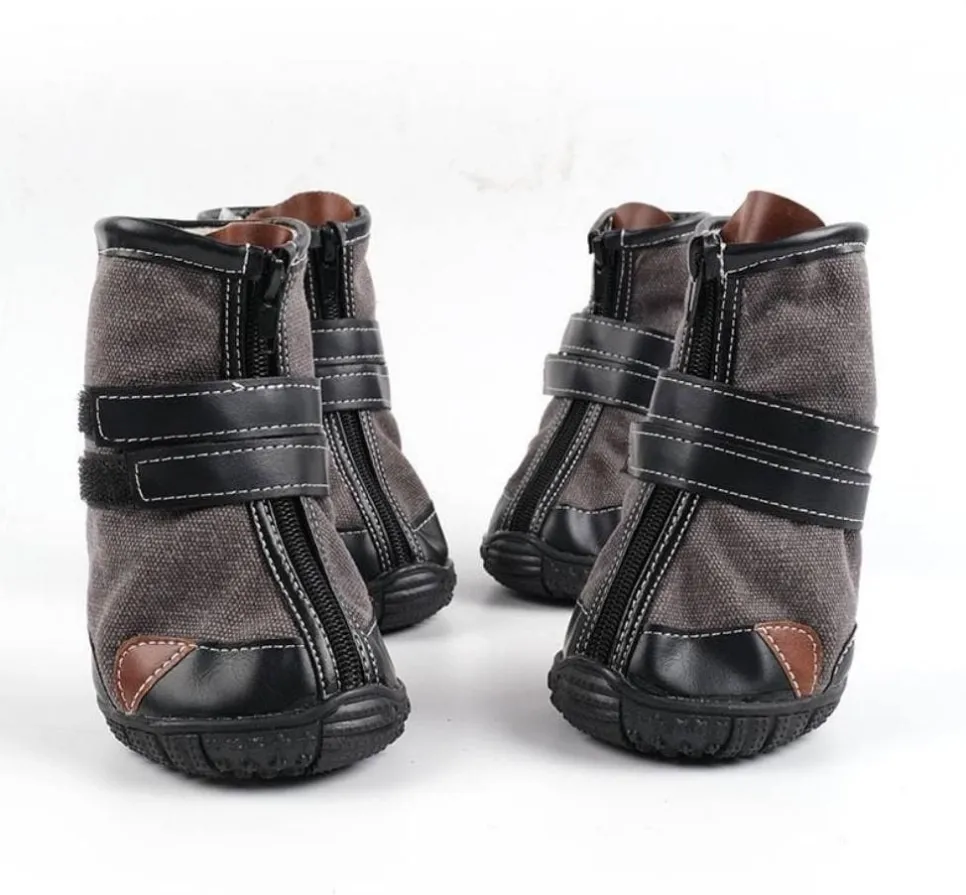 DOG SHOE