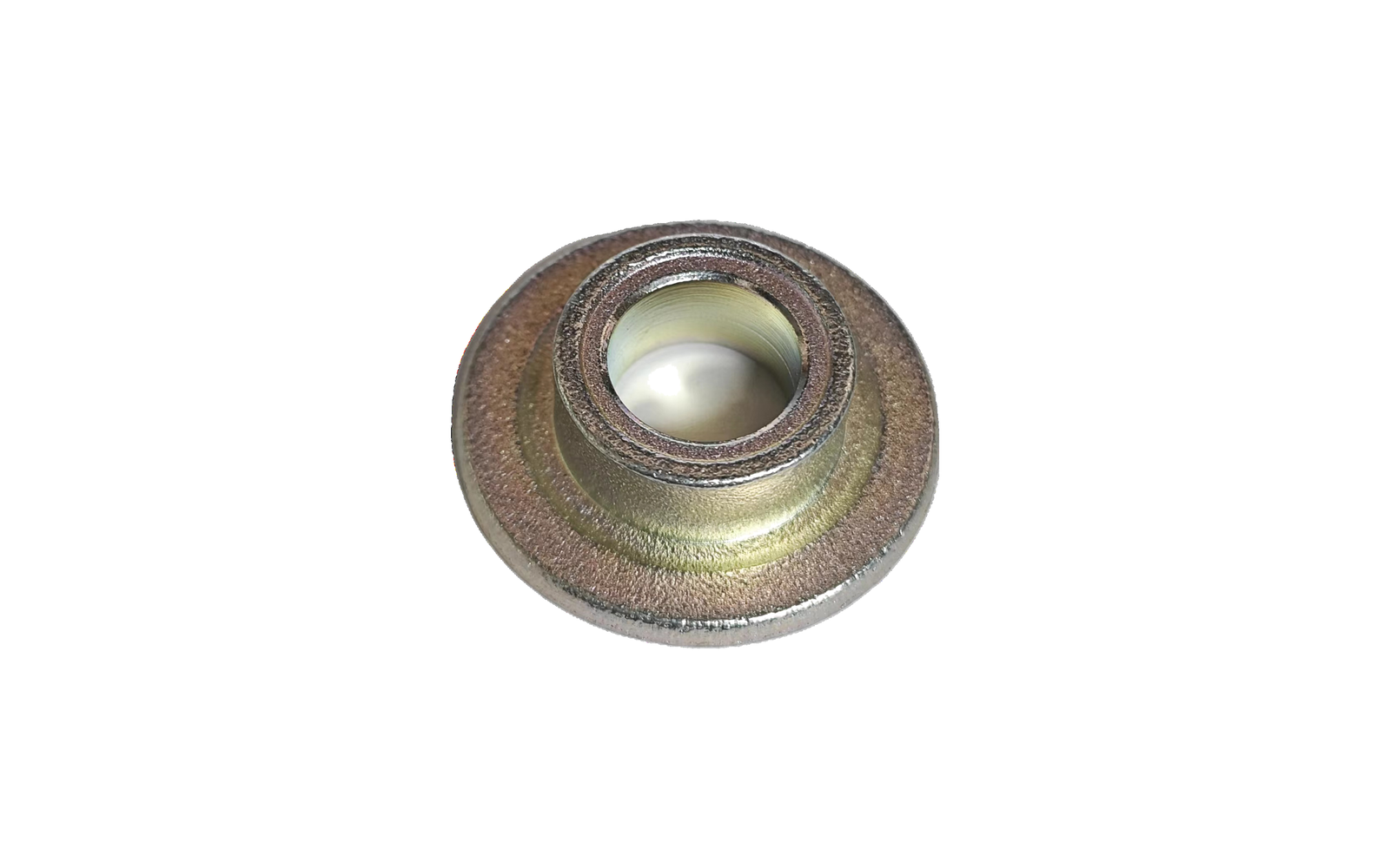 Nut Appearance Sample - v4