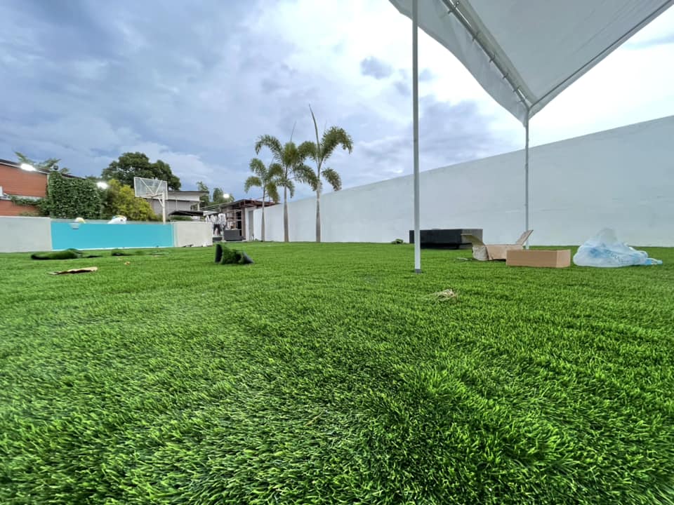 Landscape artificial grass installed in a residential garden