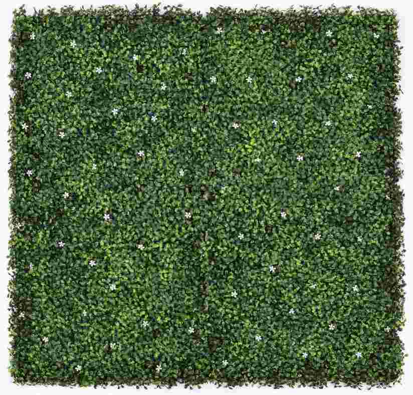 Dense fern artificial wall panel B026