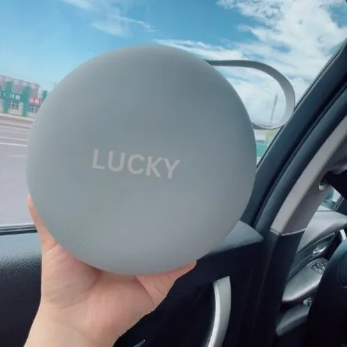 lucky travel pillow