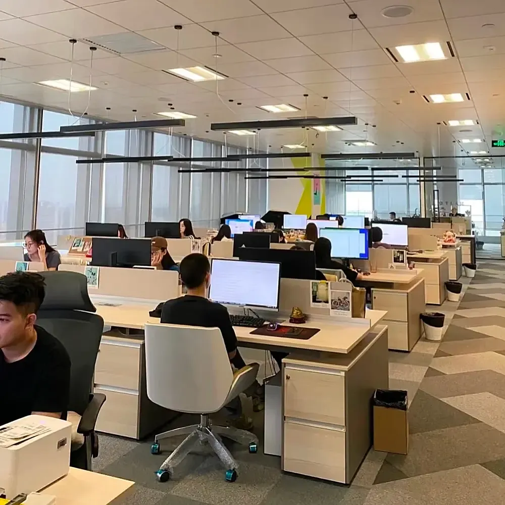 company team