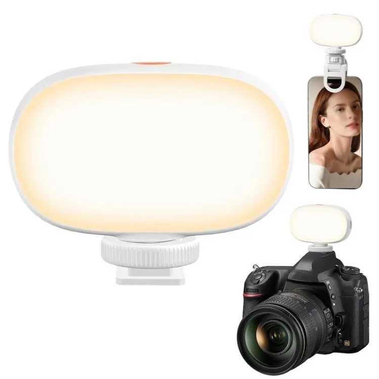Mini LED fill light mounted on a camera