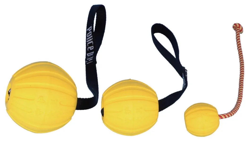 acc-training-balls-1
