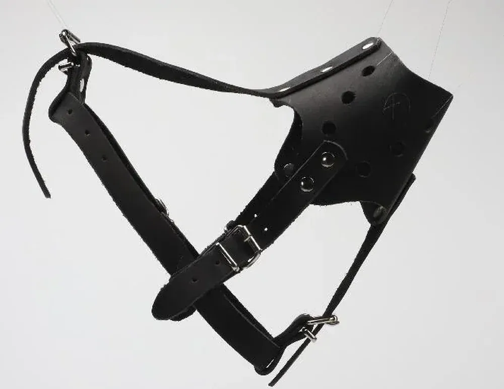 muzzle-main