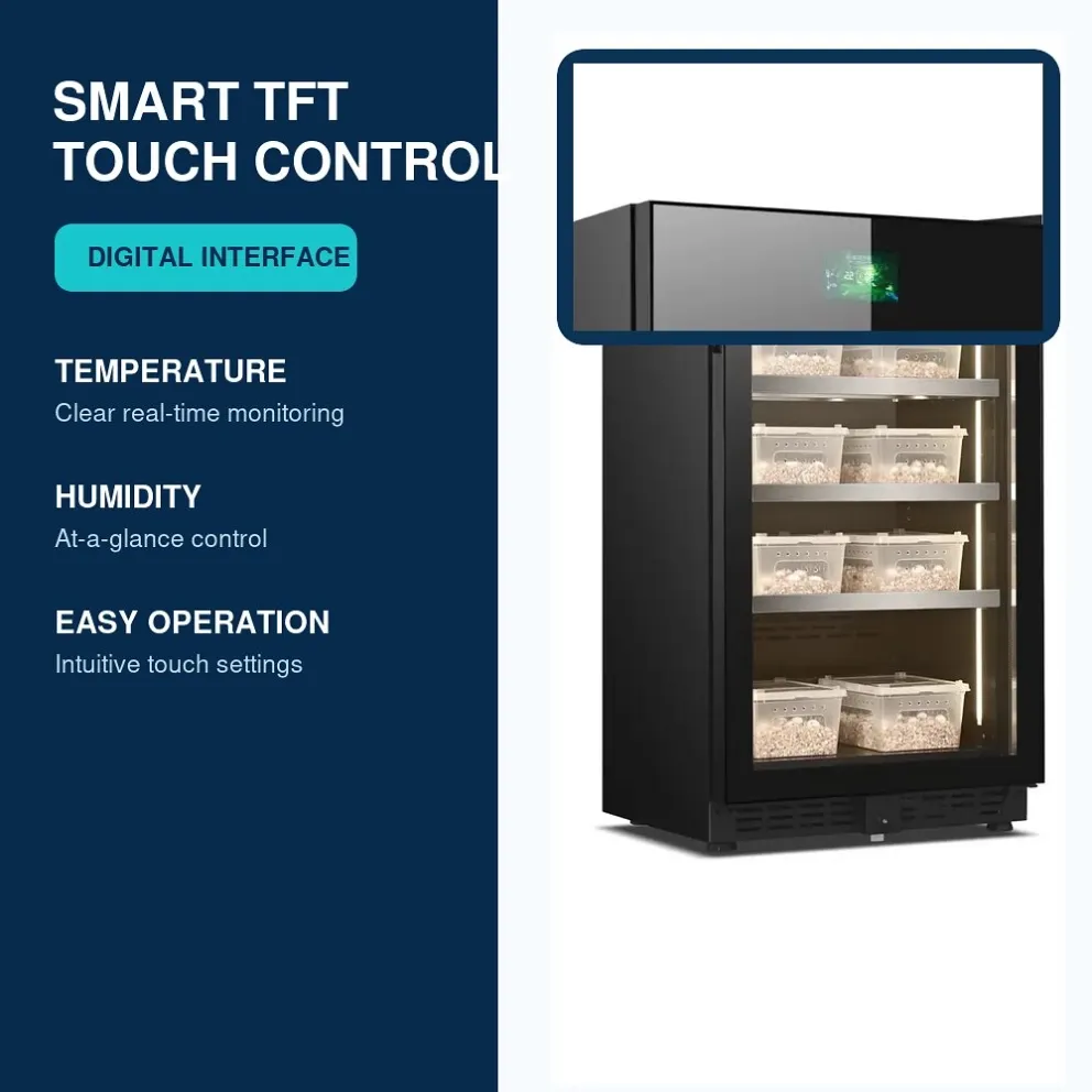 VT-220-03-TFT-Control
