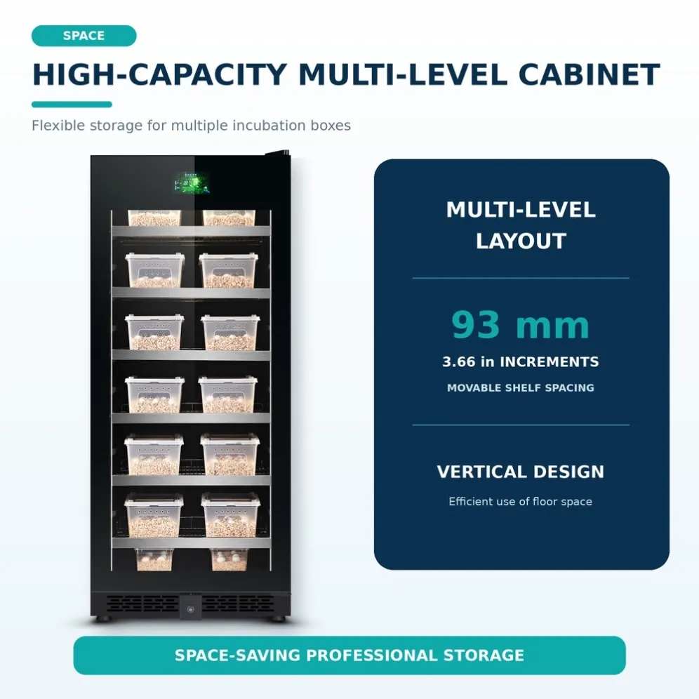 02_Multi_Level_Capacity_Alibaba_1000