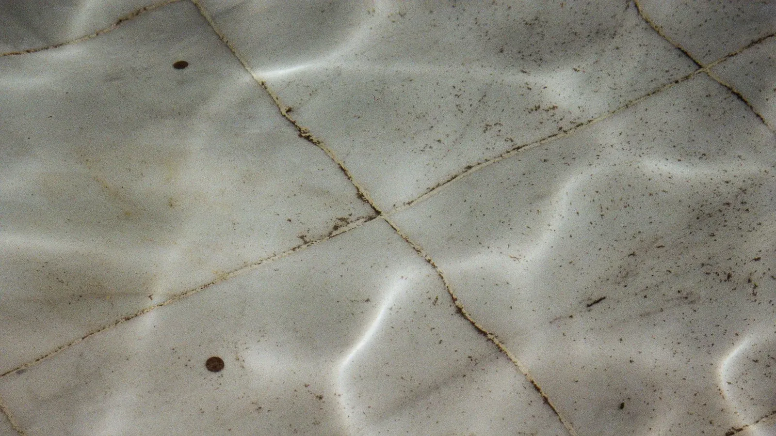 Fine dark grit settled along the grout lines of pale pool tiles under shallow water