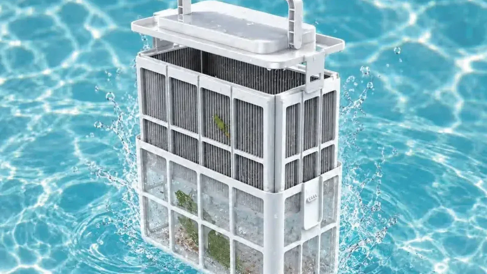 Filter basket of a robotic pool cleaner in clear water
