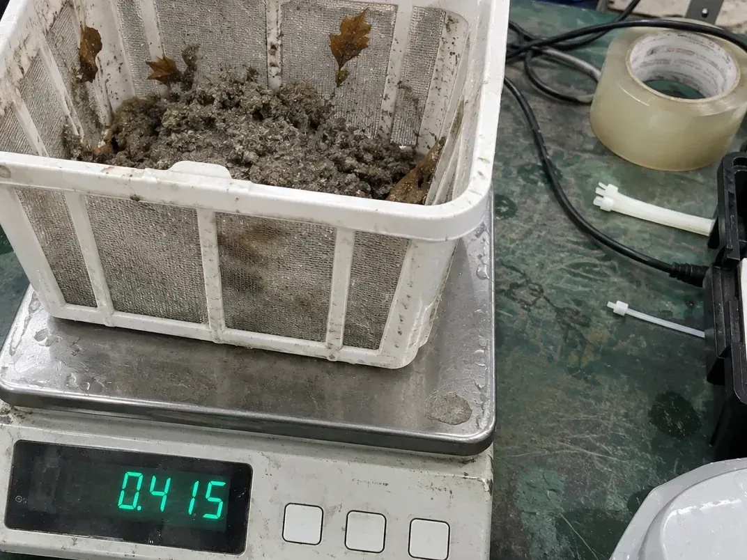 Sand collected from a Y50S filter basket on a scale after the cleaning test, recreated from our test report