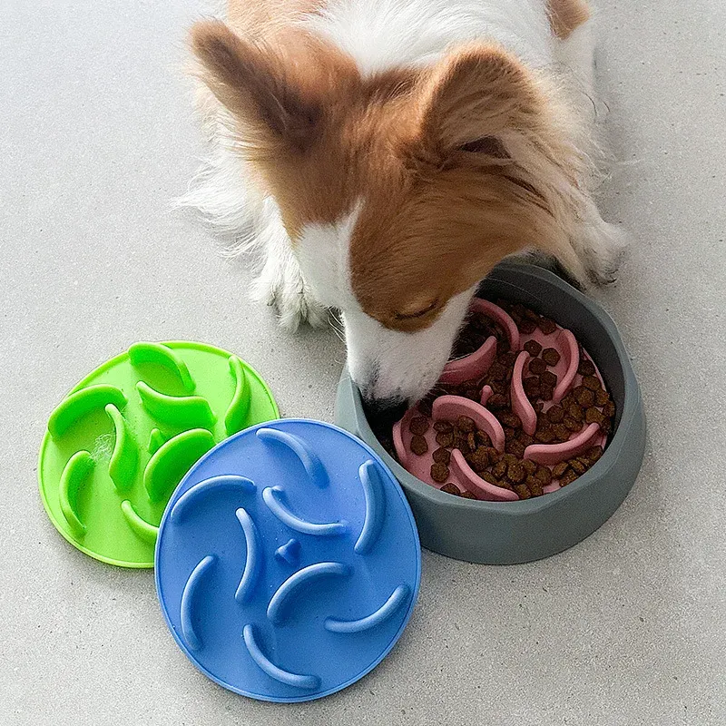 Slow feeder dog bowl with removable silicone maze insert - corgi