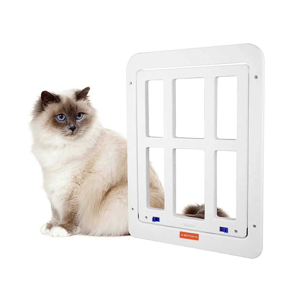 White screen door cat door shown beside a ragdoll cat