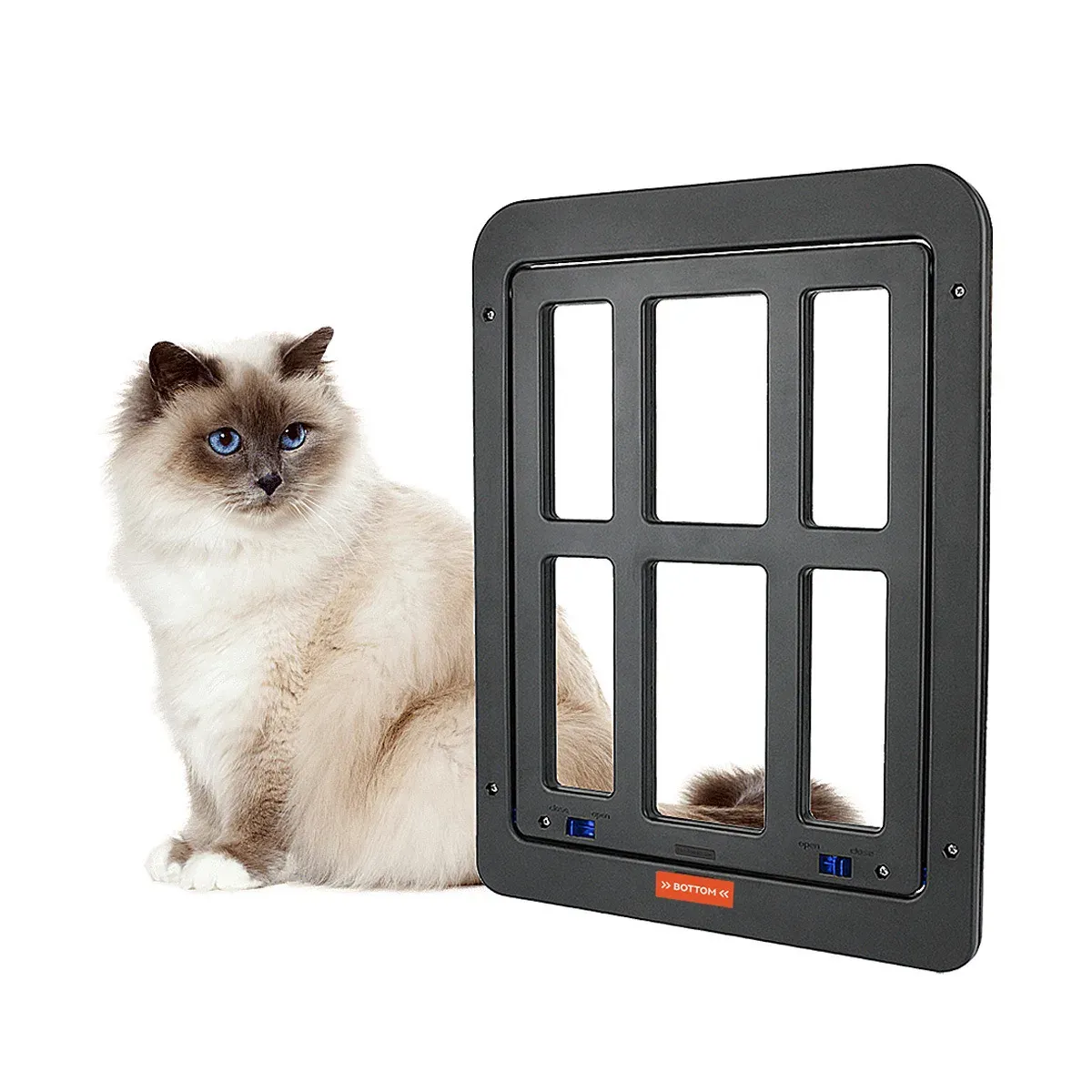 Dark grey screen door cat door shown beside a ragdoll cat