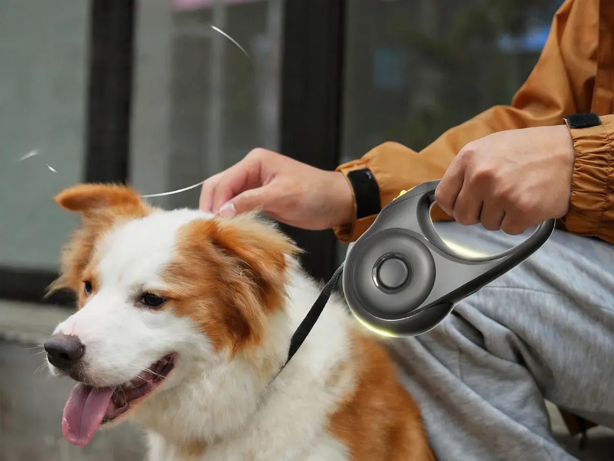 Retractable LED leash in daily use
