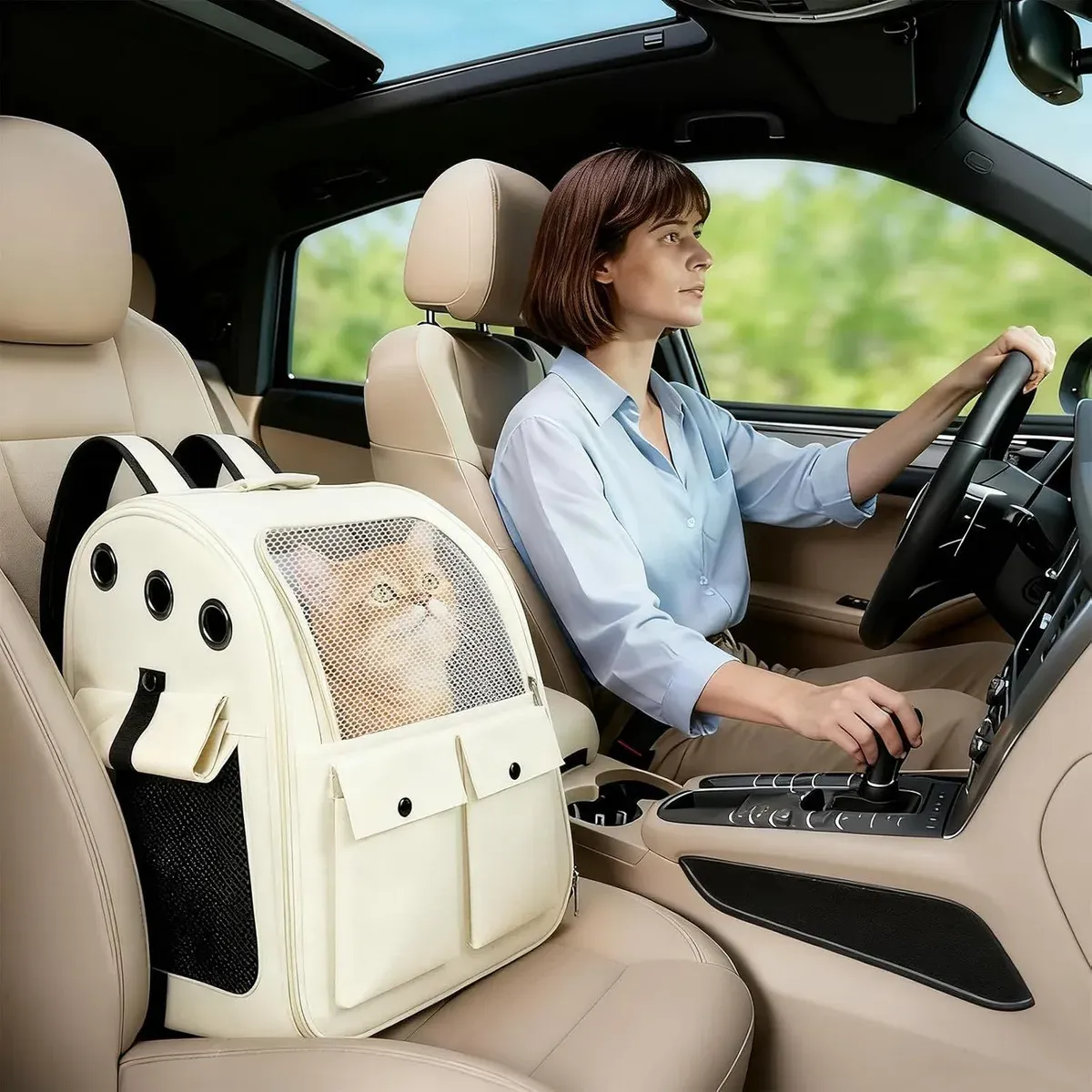 Cat in a cream pet carrier on a car seat
