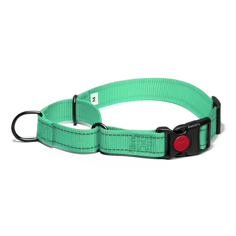 Green reflective nylon dog collar with quick-release buckle