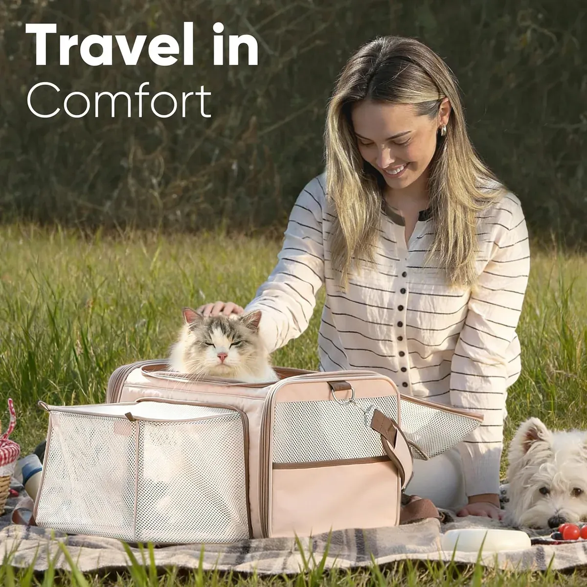 Woman beside a beige pet carrier bag with a cat inside and a small dog beside them