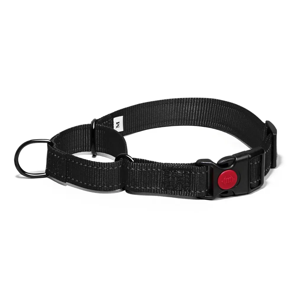 Black reflective nylon dog collar laid flat with quick-release buckle and D-ring