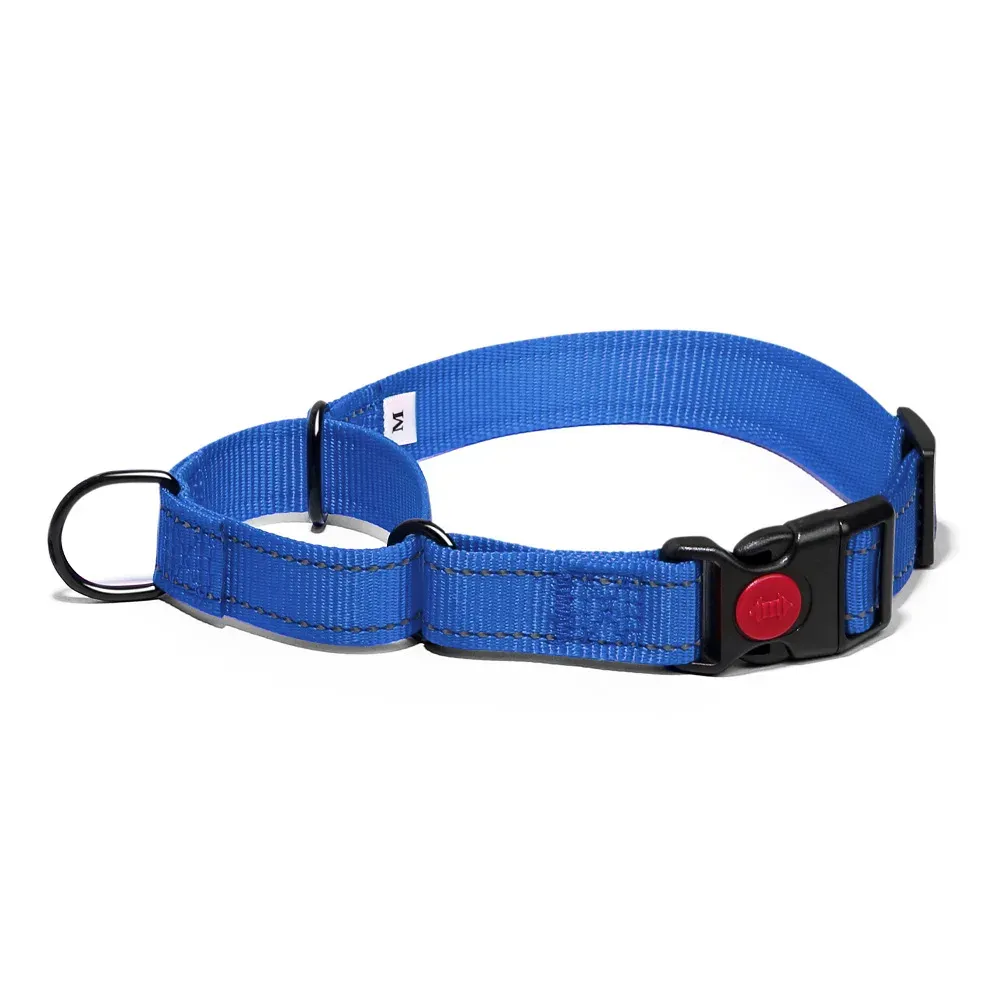 Blue reflective nylon dog collar laid flat with quick-release buckle and D-ring