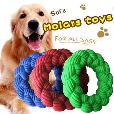 Golden retriever with blue, red and green braided rope ring dog toys