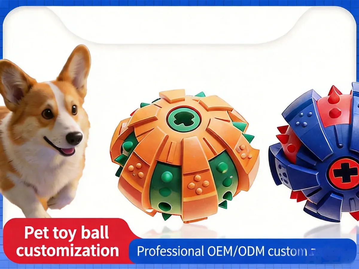 Corgi beside orange and blue treat-dispensing pet toy balls