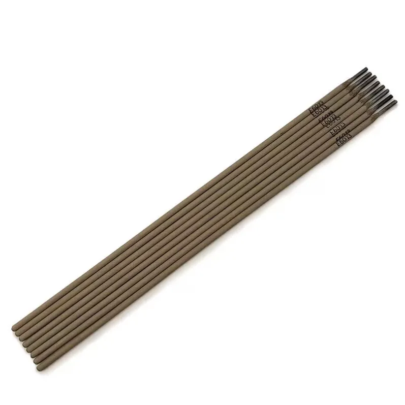 E6013
