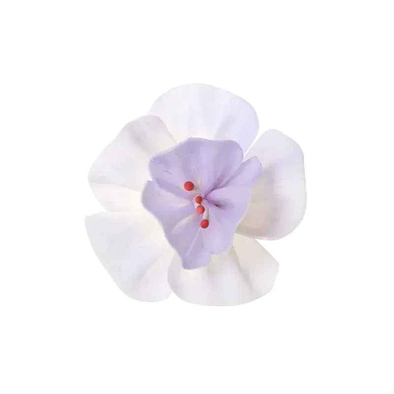 资源 628@800x-100.webp