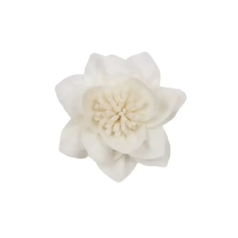 须芯莲花.psd (2)@800x-100.webp