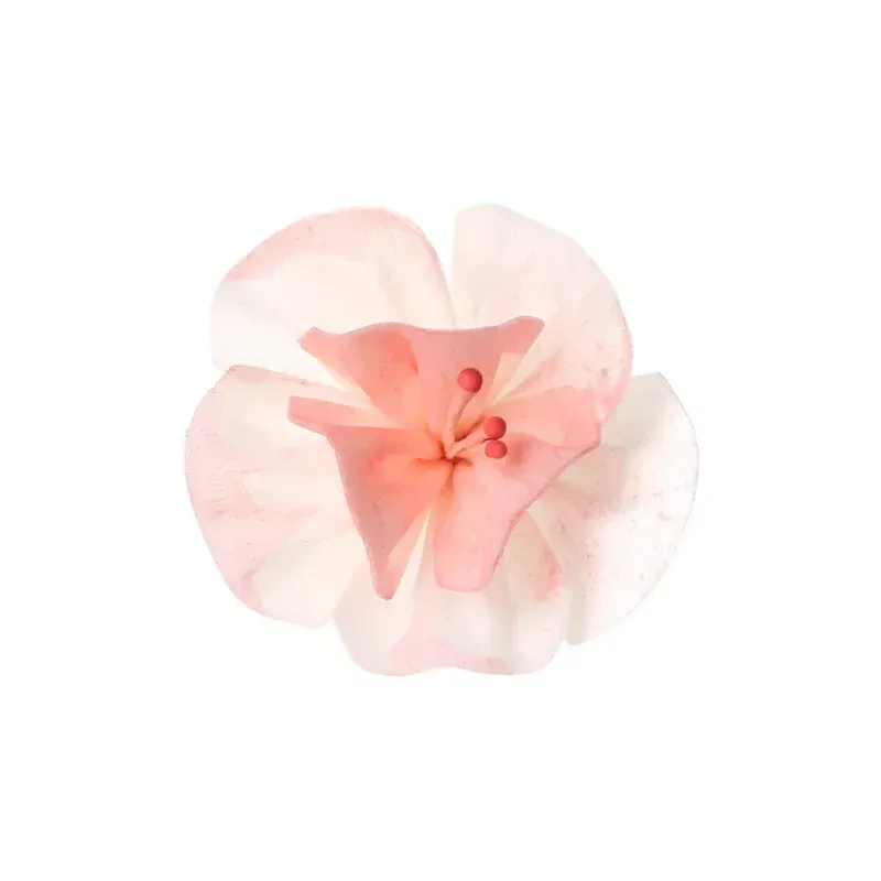 资源 625@800x-100.webp