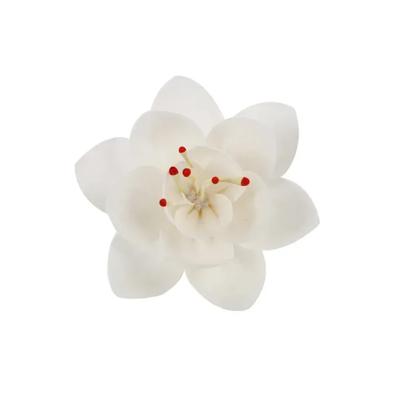 兰花.psd@800x-100.webp