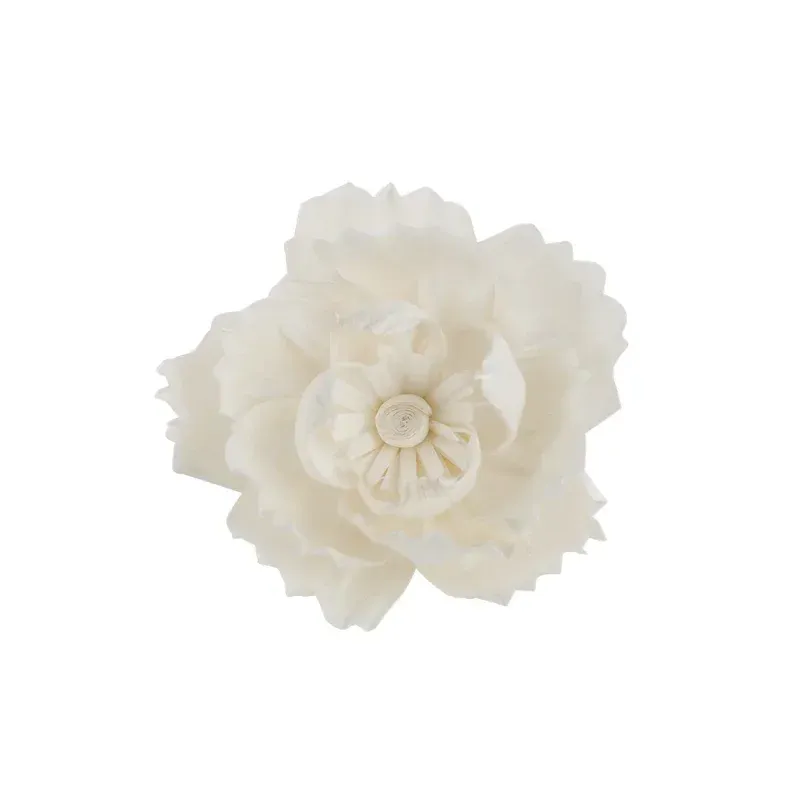带芯牡丹.psd@800x-100.webp