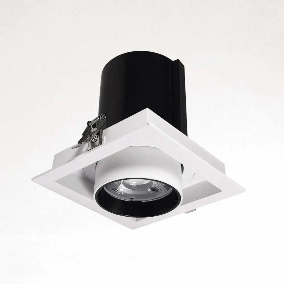 DB-SLDL8-30W-01