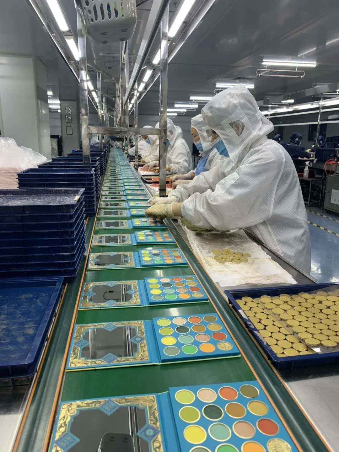 Factory - packing line with trays