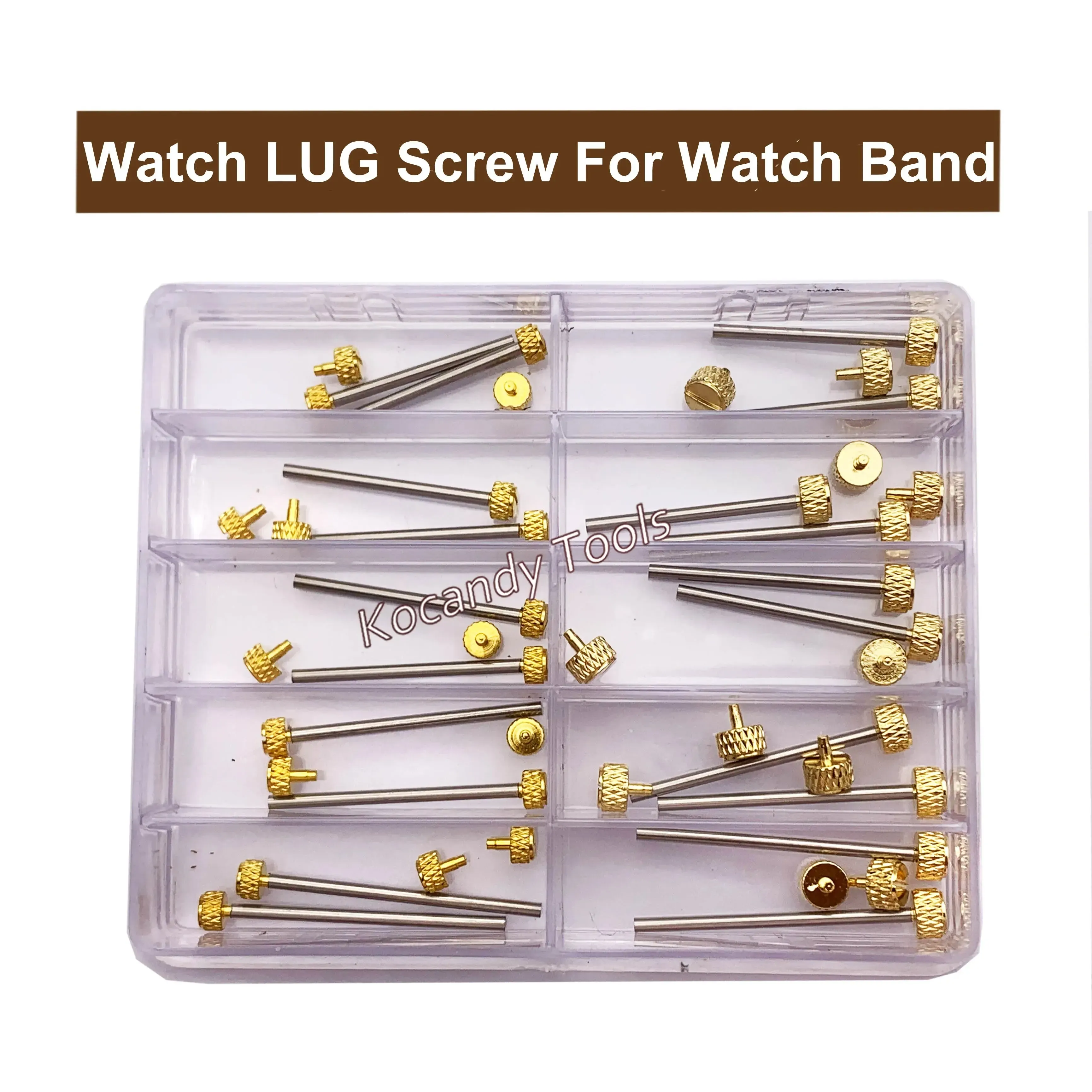 Clear compartment box filled with gold-tone watch band screw pins