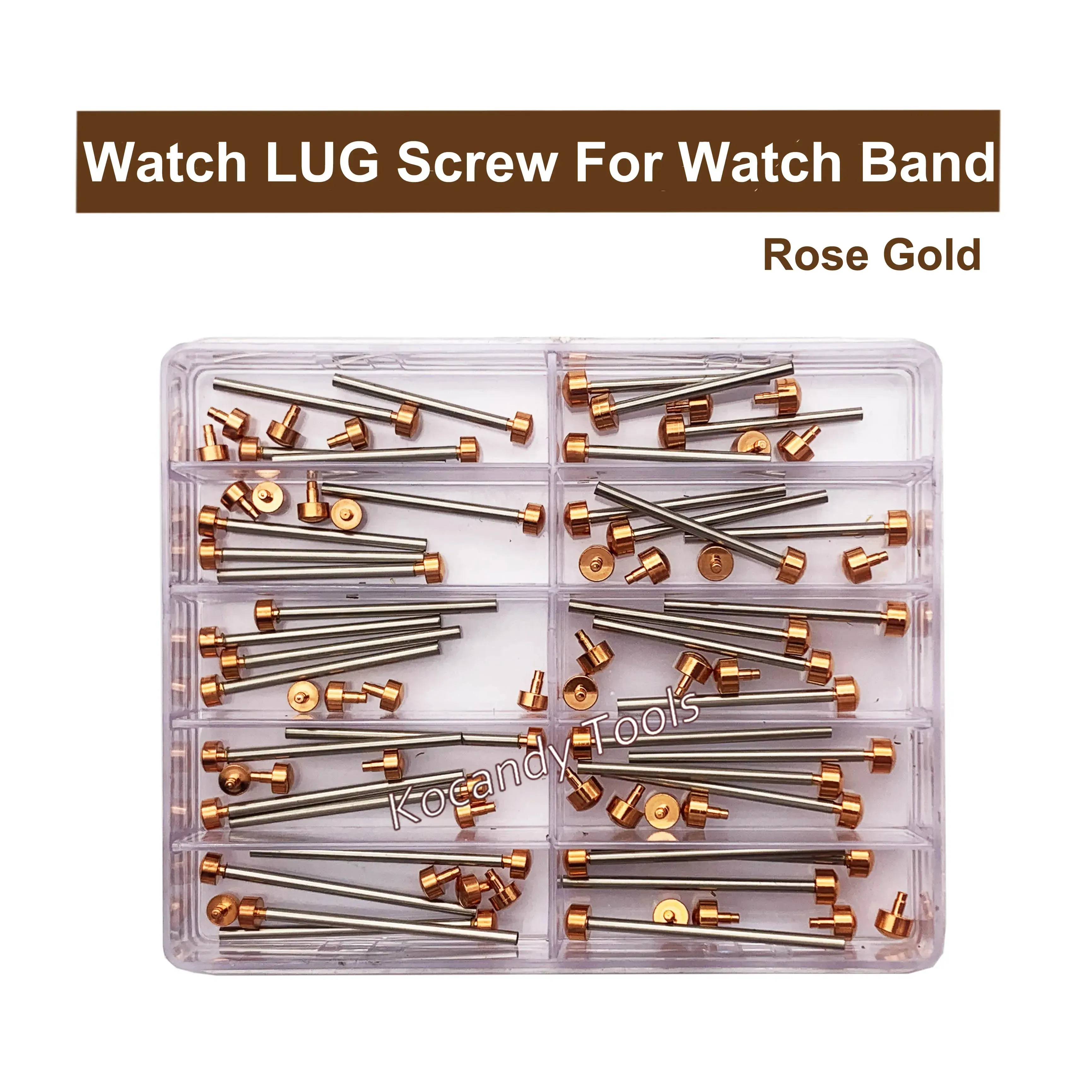 Silver 316L screws in a compartment box in assorted lengths