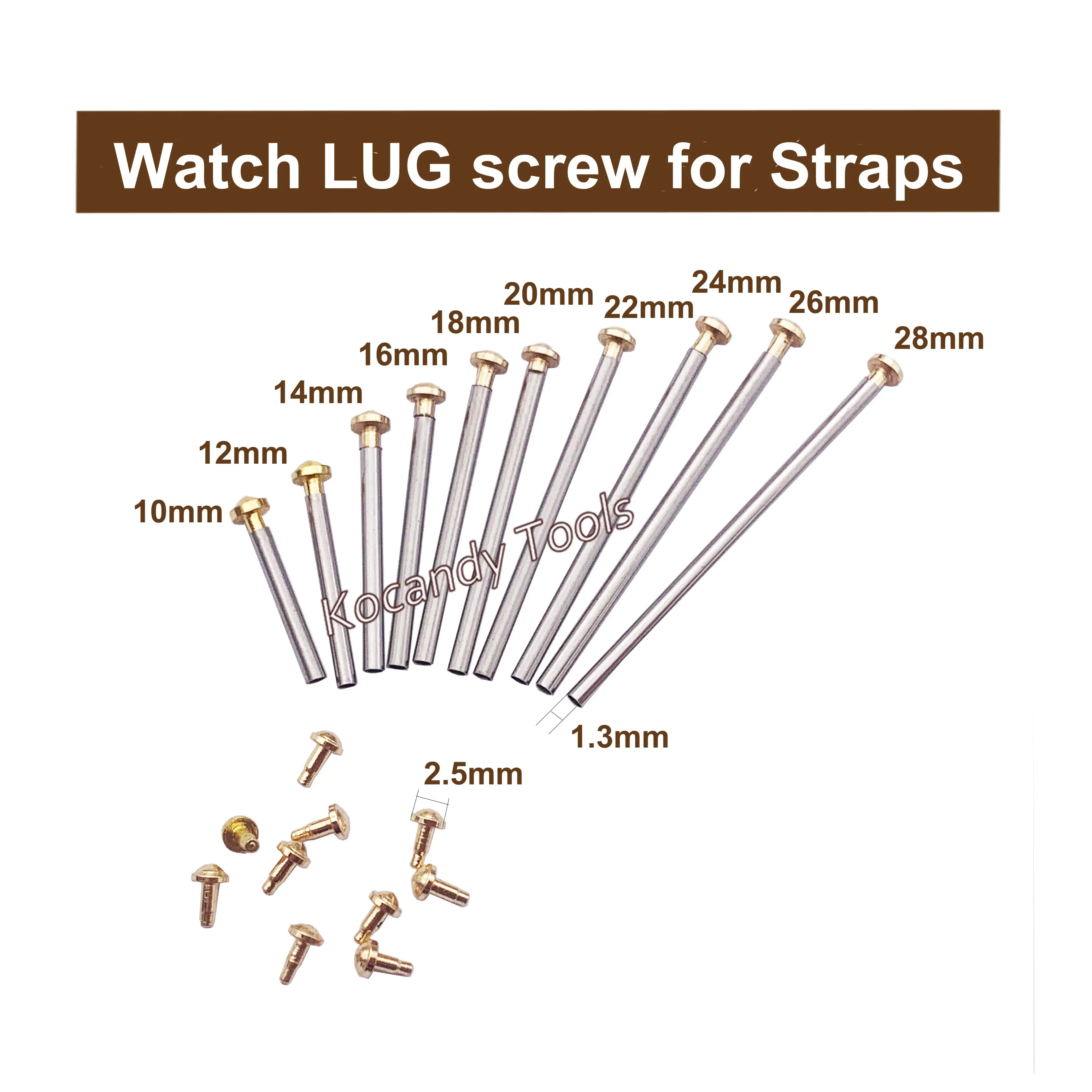 Stainless spring bar pins fanned above loose rivet end caps