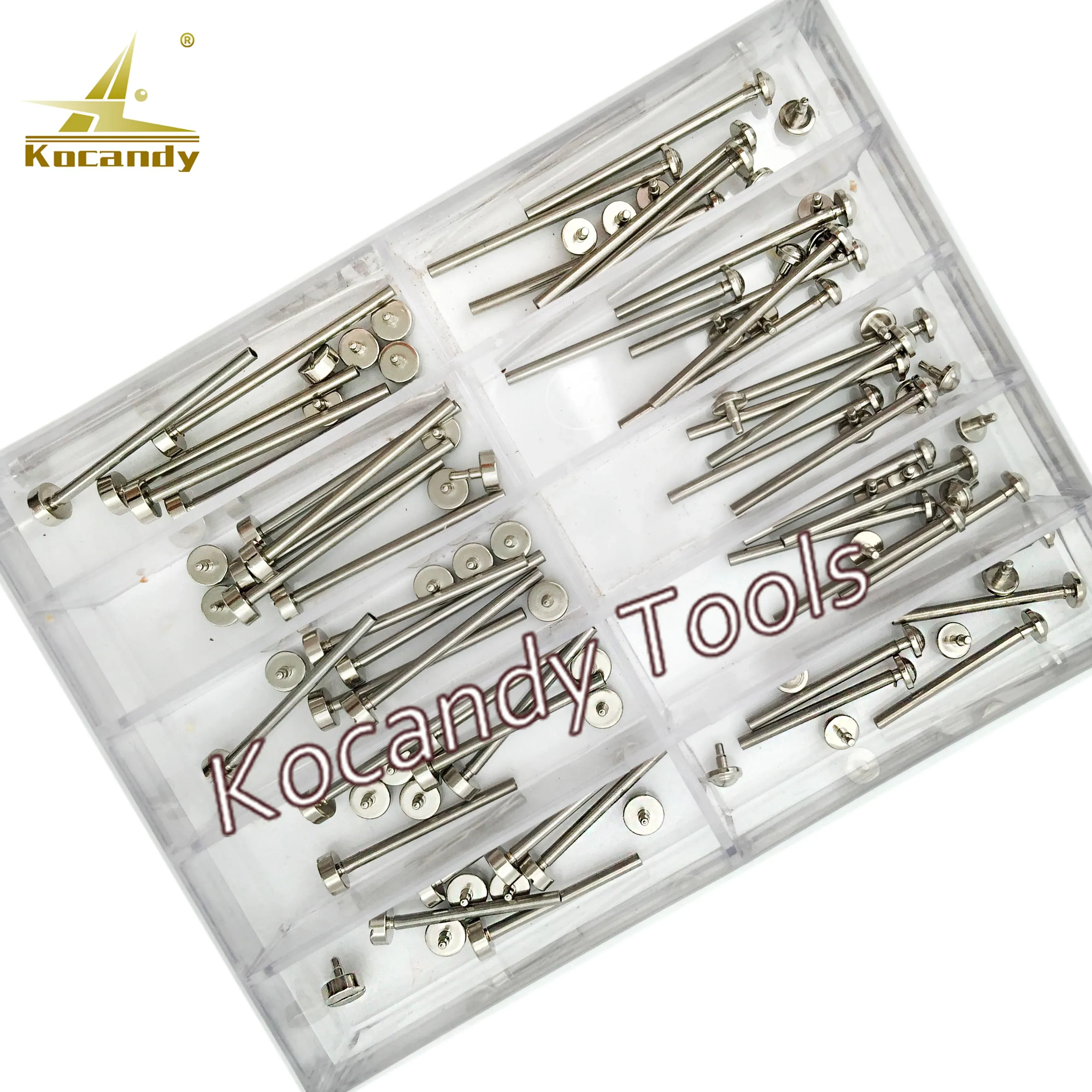 Clear compartment box of spring bars and rivet pins